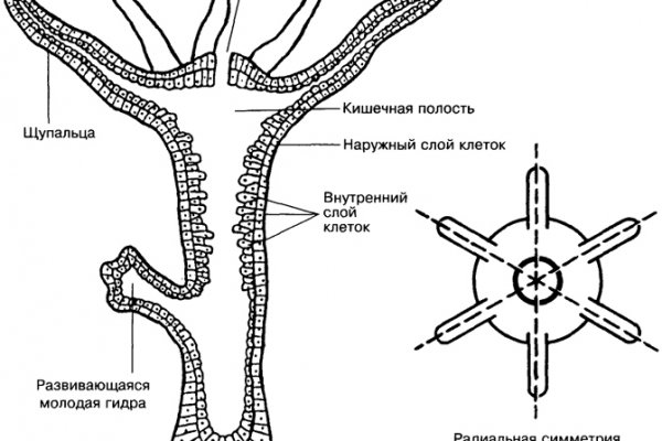 2fa код как получить blacksprut