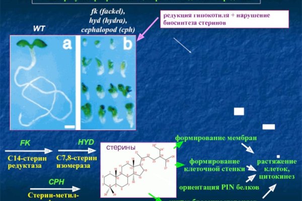 Блэкспрут зеркало рабочее