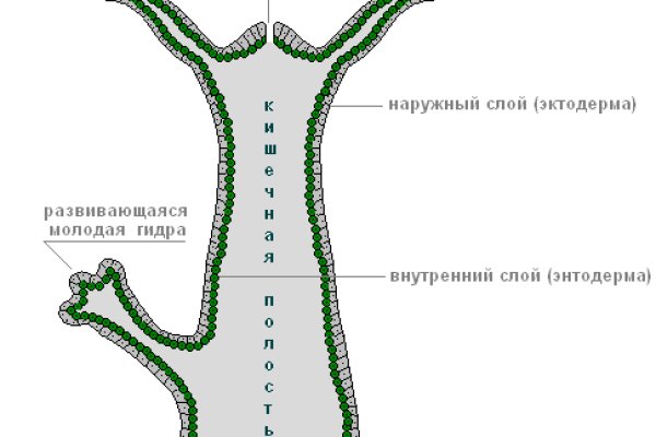 Годнотаба блэкспрут